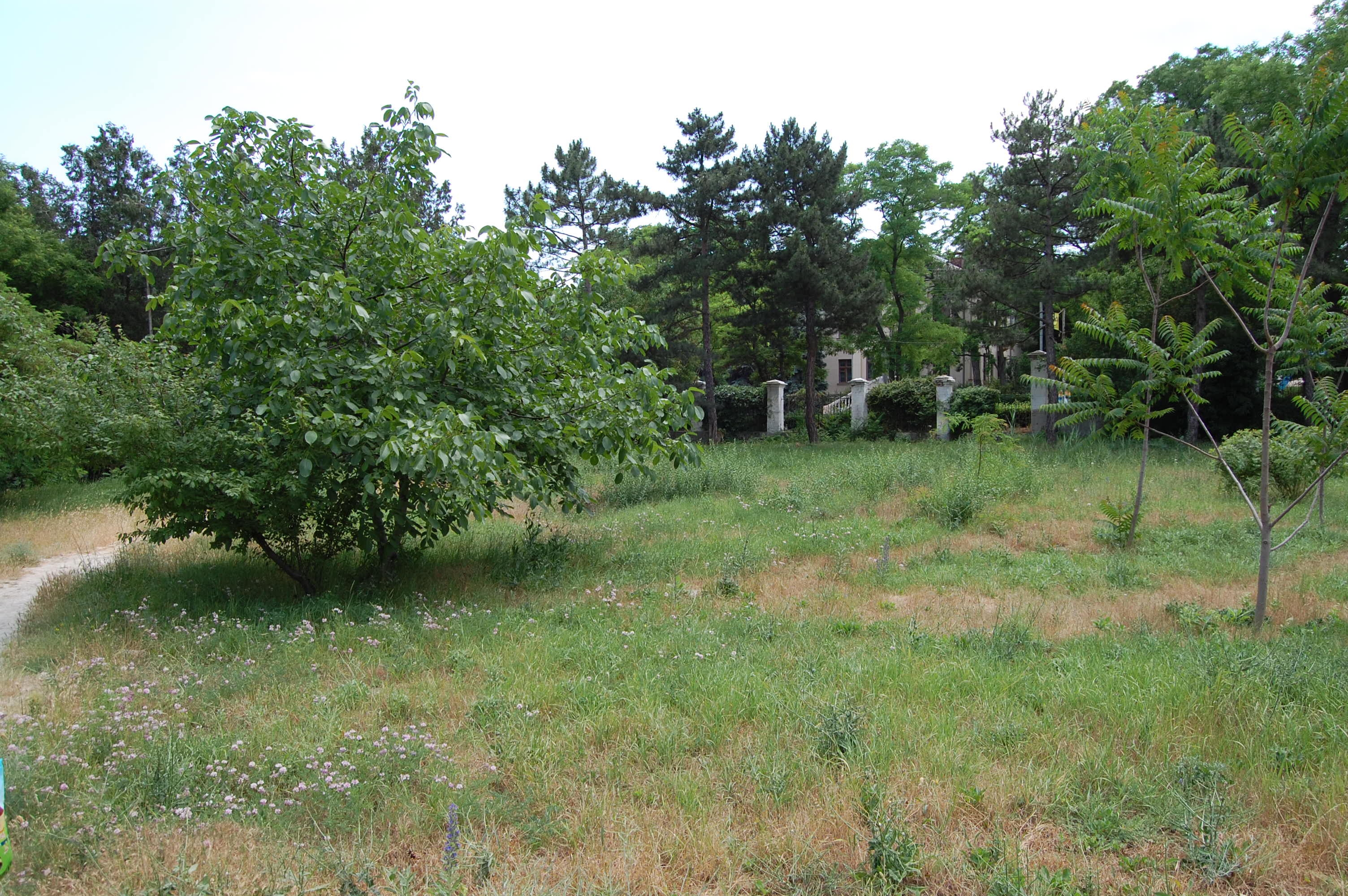 Место захоронения Котляревского и Шультена (фото июнь 2011 г.)