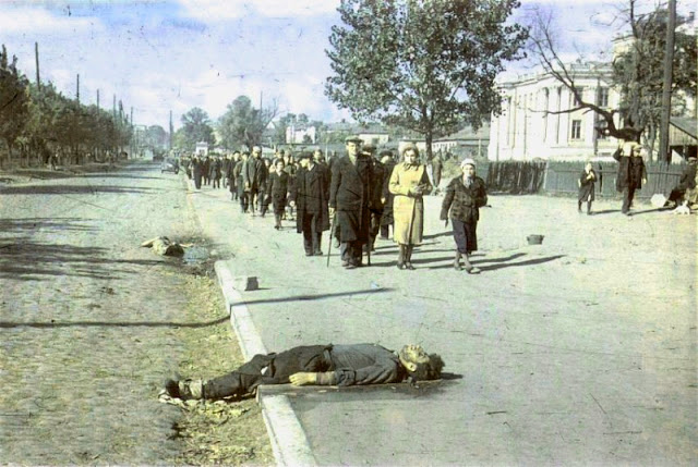 Кадр 3